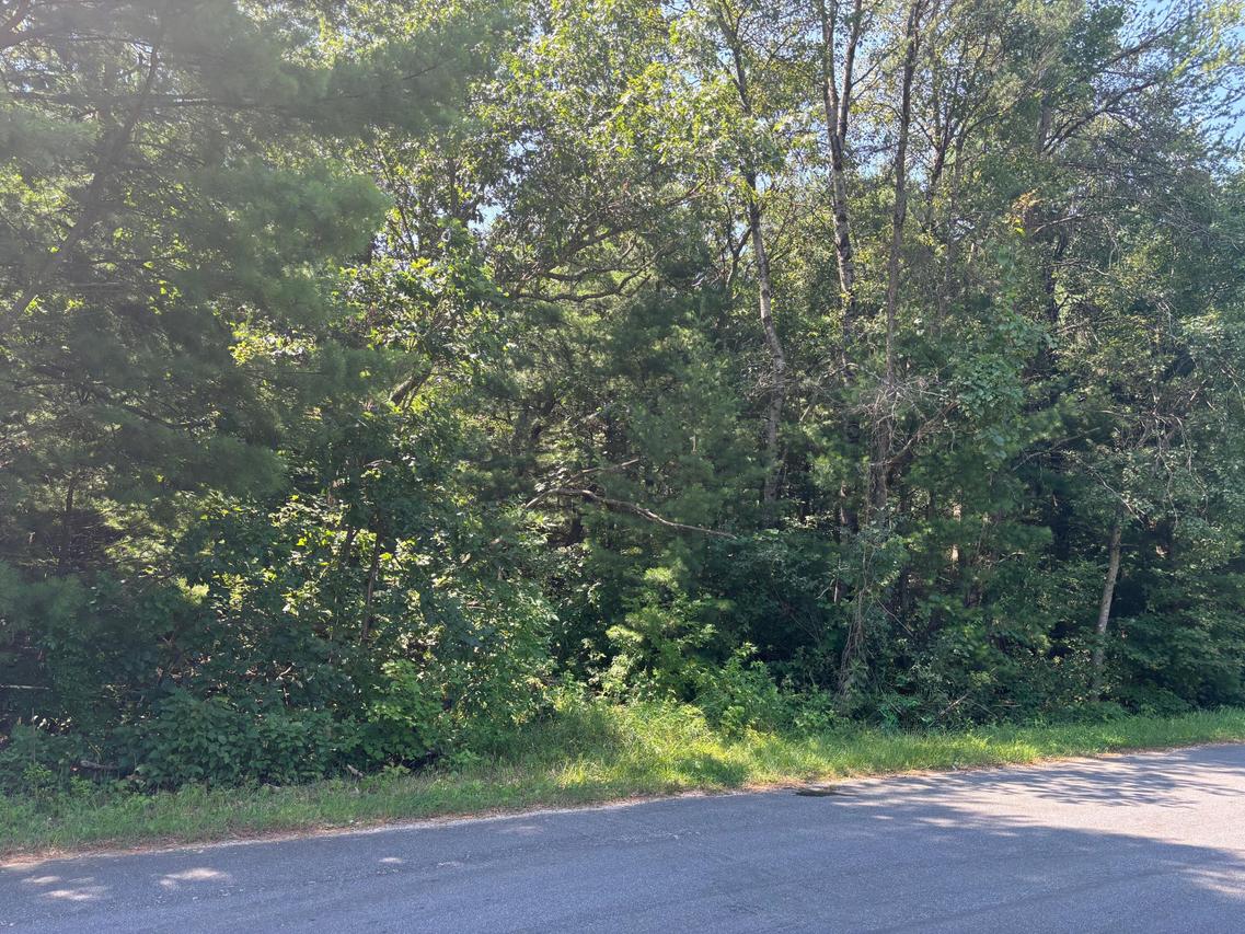 1107 Fawn Ct, Springville, WI 53936