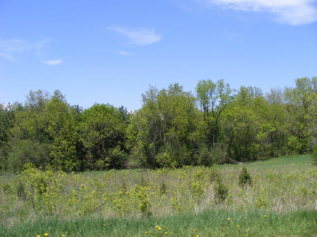 6834 Horseshoe Trl, Burlington, WI 53105