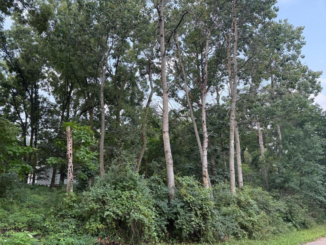 Lt16 Skansen - #17,18,19, Richmond, WI 53115