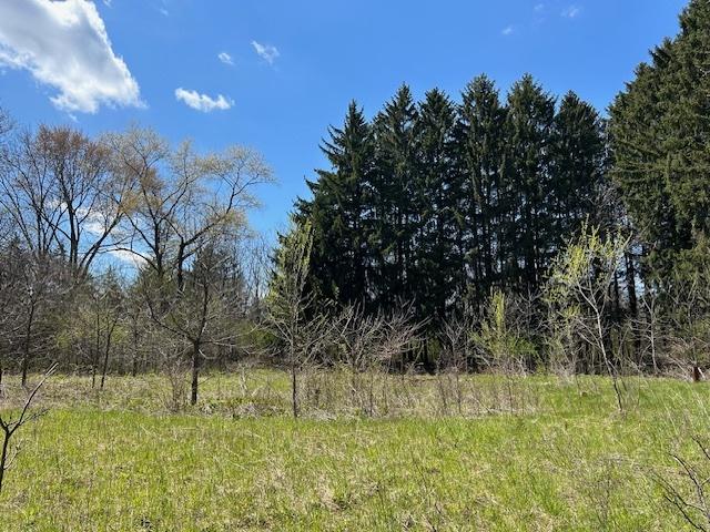 12031 N Ridge Rd, Mequon, WI 53092