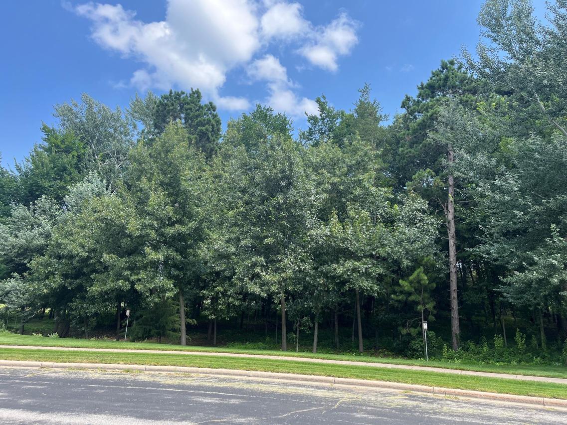903 Pine Cone Pl, Holmen, WI 54636