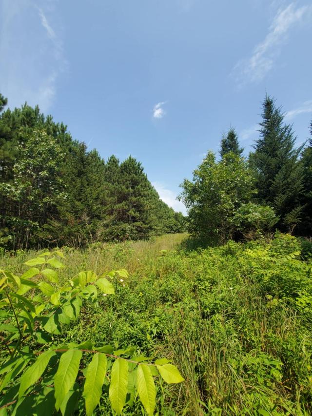 Lt0 Town Hall Rd, Dellona, WI 53965