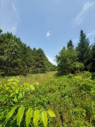 New Homes For Sale This Week That Attend Wisconsin Dells High School: August 1st to August 7th