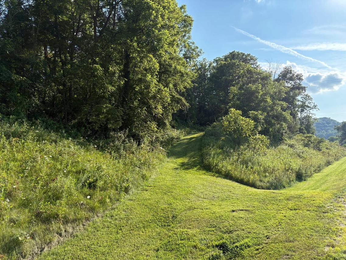 Lot 3 Stone Hill, Medary, WI 54601