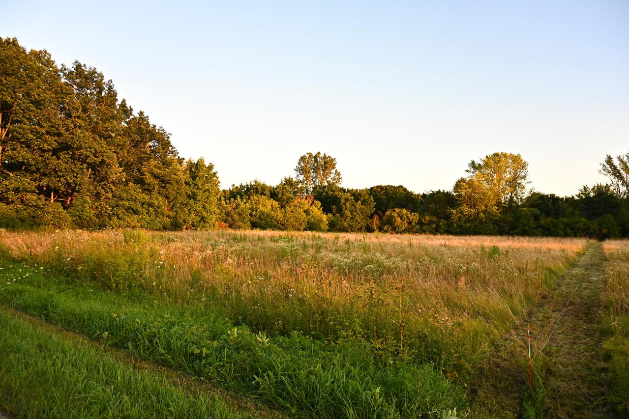N8551 River Rd, Watertown, WI 53066