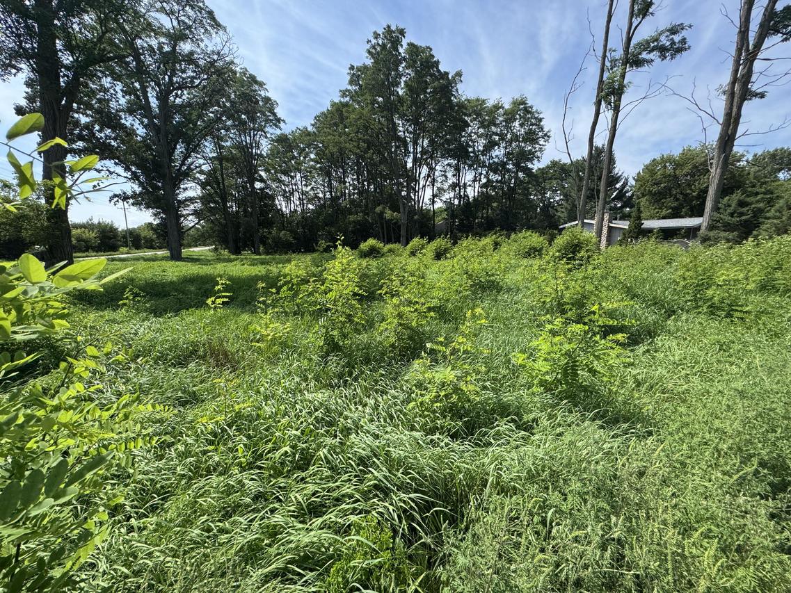 Lt1 93rd St, Randall, WI 53128