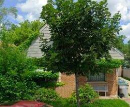 4908 N 60th St #4908A, Milwaukee, WI 53218