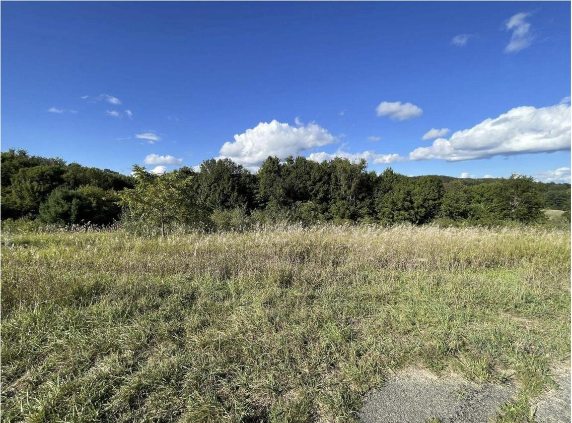 Lt354 Sioux Trl, Woodland, WI 53941