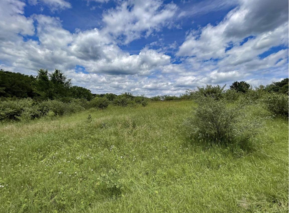 Lt180 Black Forest, Woodland, WI 53941