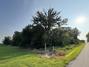 New Homes For Sale This Week in Osceola: August 15th to August 21st
