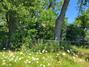 New Homes For Sale This Week in Bloomfield: August 15th to August 21st