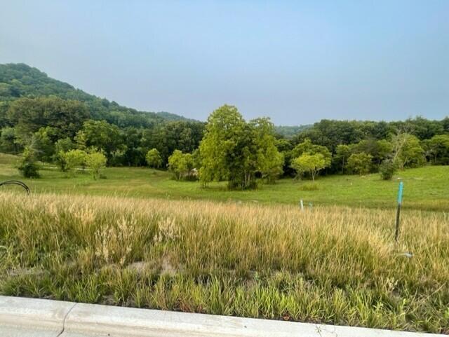 Lot 48 Madison Heights, Onalaska, WI 54650