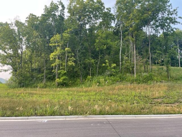 Lot 53 Madison Heights, Onalaska, WI 54650