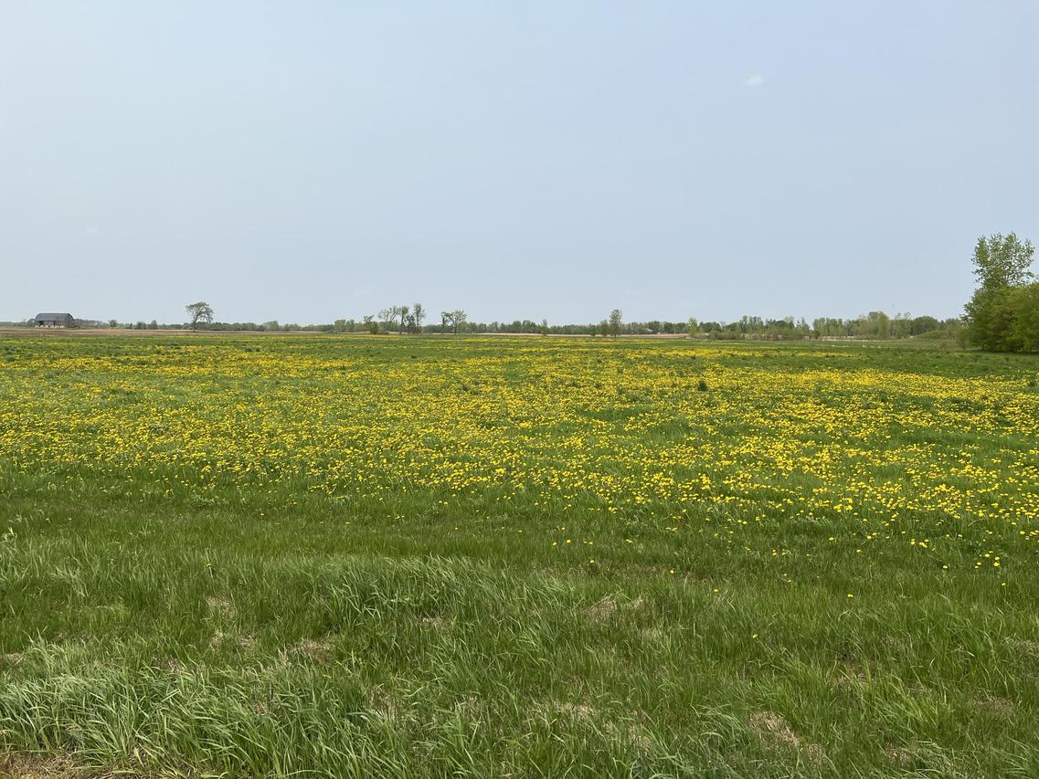 Lt0 Deer Dr, Angelica, WI 54162