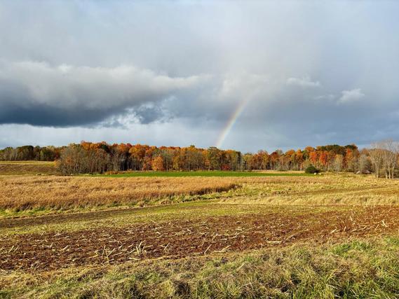 New Homes For Sale This Week That Attend Northview Elementary School: September 5th to September 11th