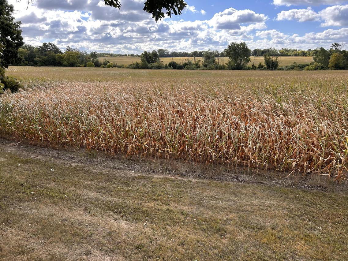 60th St #LOT 2, Kenosha, WI 53104