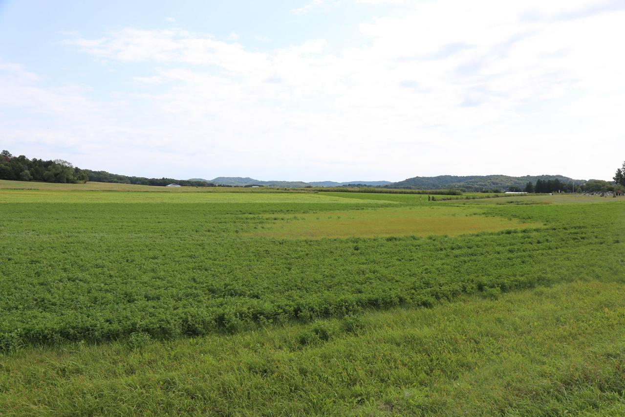 Lot 1 State Highway 27 -, Leon, WI 54656