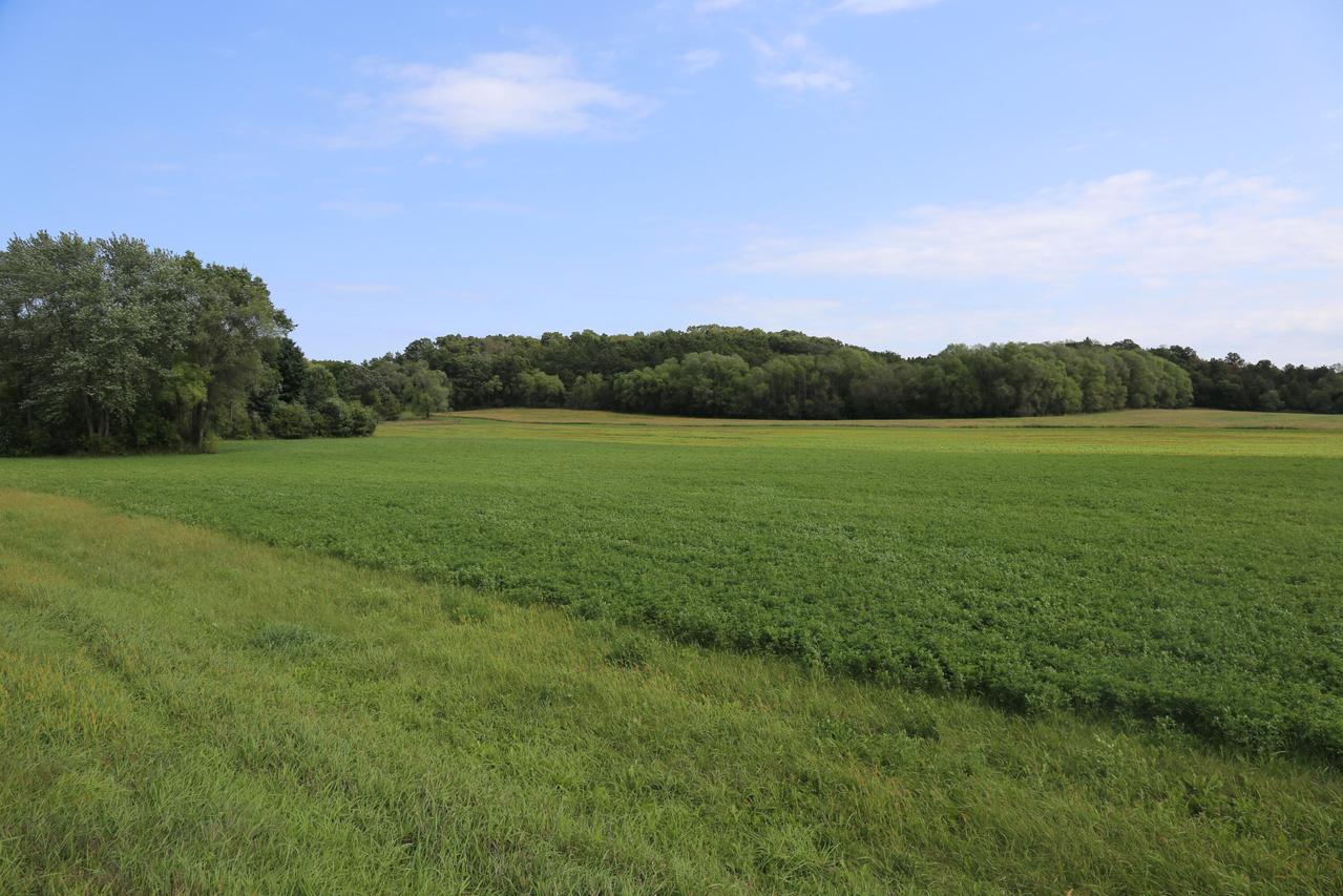 Lot 2 State Highway 27 -, Leon, WI 54656
