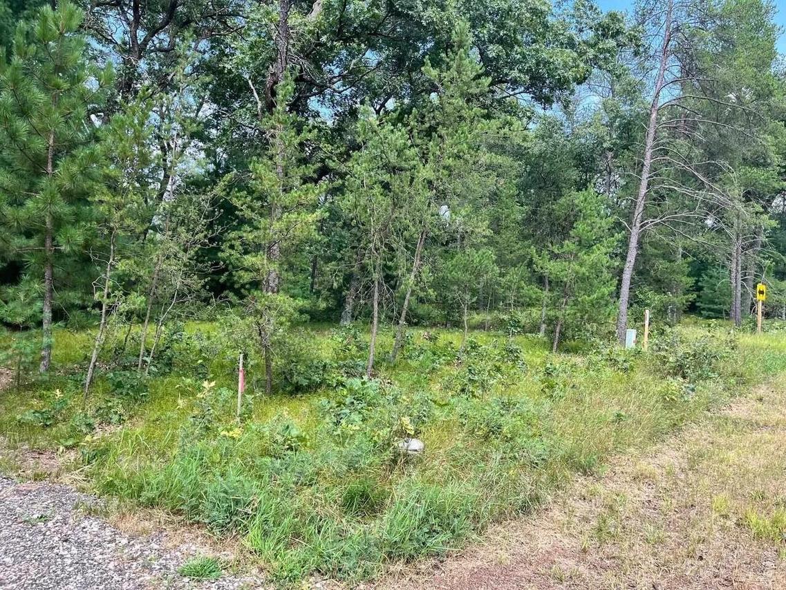1352 Fern Dr, Springville, WI 53965