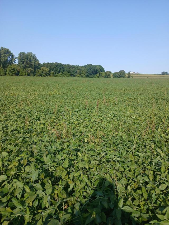 61.47 County Road T -, Franklin, WI 54247