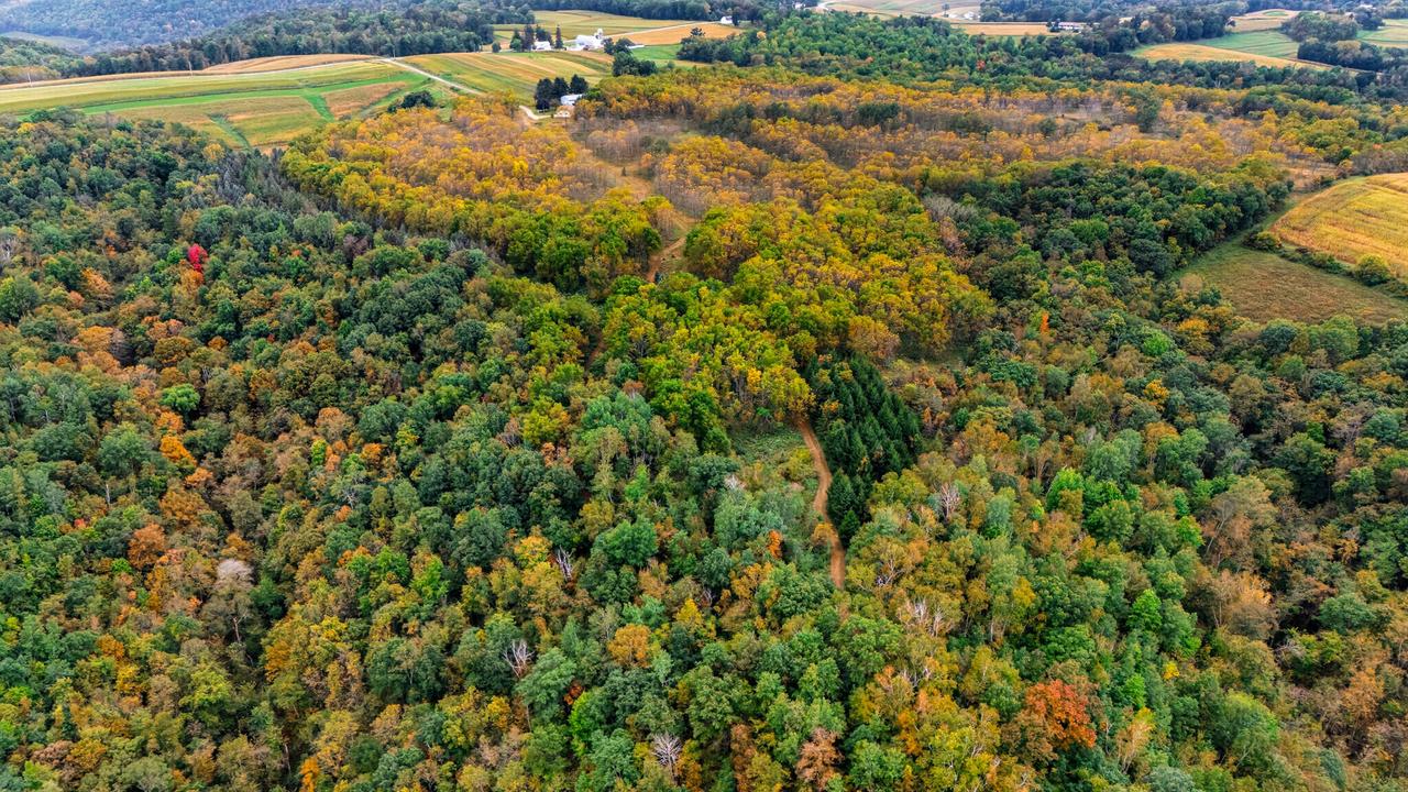 000 Betz Rd, Greenfield, WI 54623