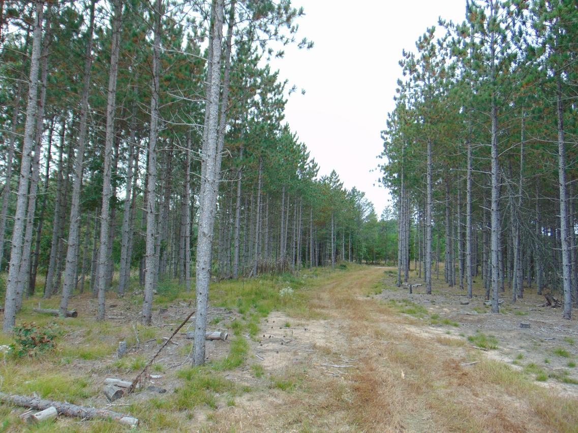 1730 9th Ave, Preston, WI 53934