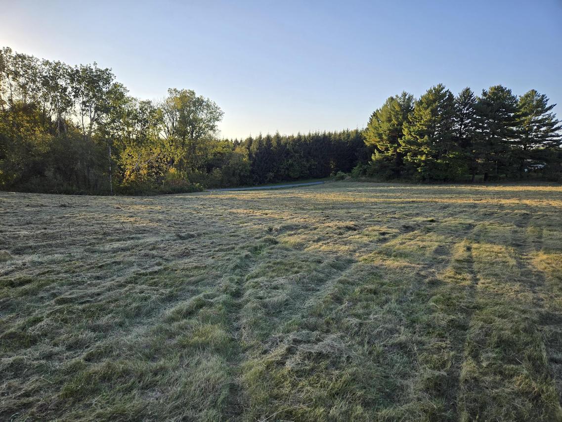 E5197 Nessett Rd, Coon, WI 54667