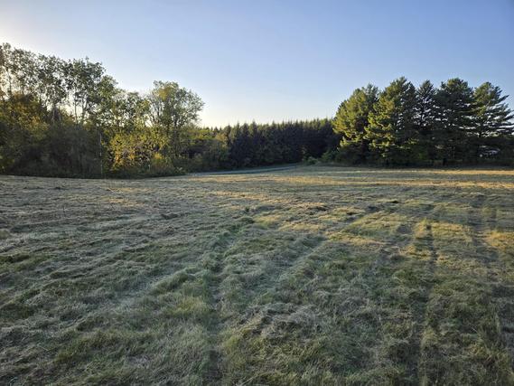 New Homes For Sale This Week That Attend Coon Valley Elementary School: September 19th to September 25th