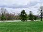 New Homes For Sale This Week That Attend Nature Hill Intermediate: September 26th to October 2nd