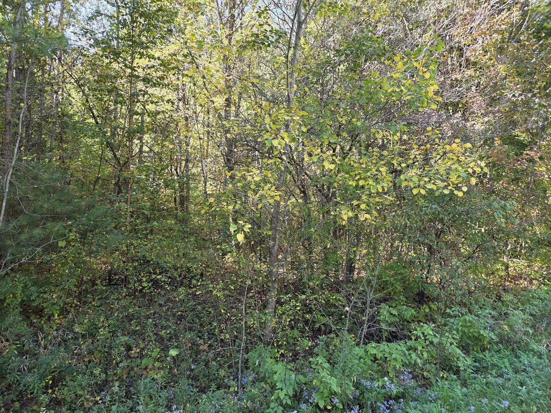 Lt2 Carstens Lake, Eaton, WI 53042