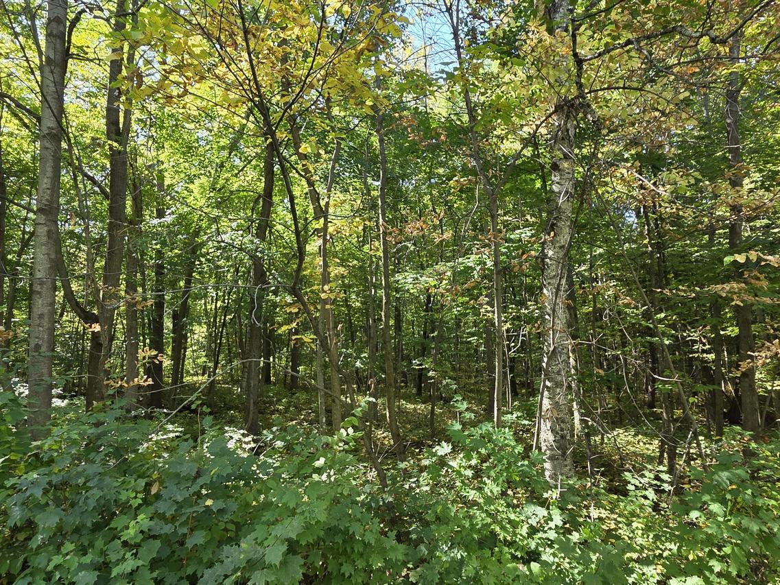 Lt1 Carstens Lake, Eaton, WI 53042