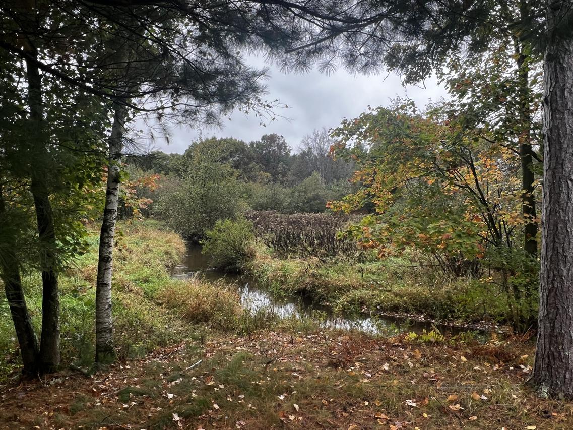 W2212 Pine Rd, Crystal Lake, WI 54960