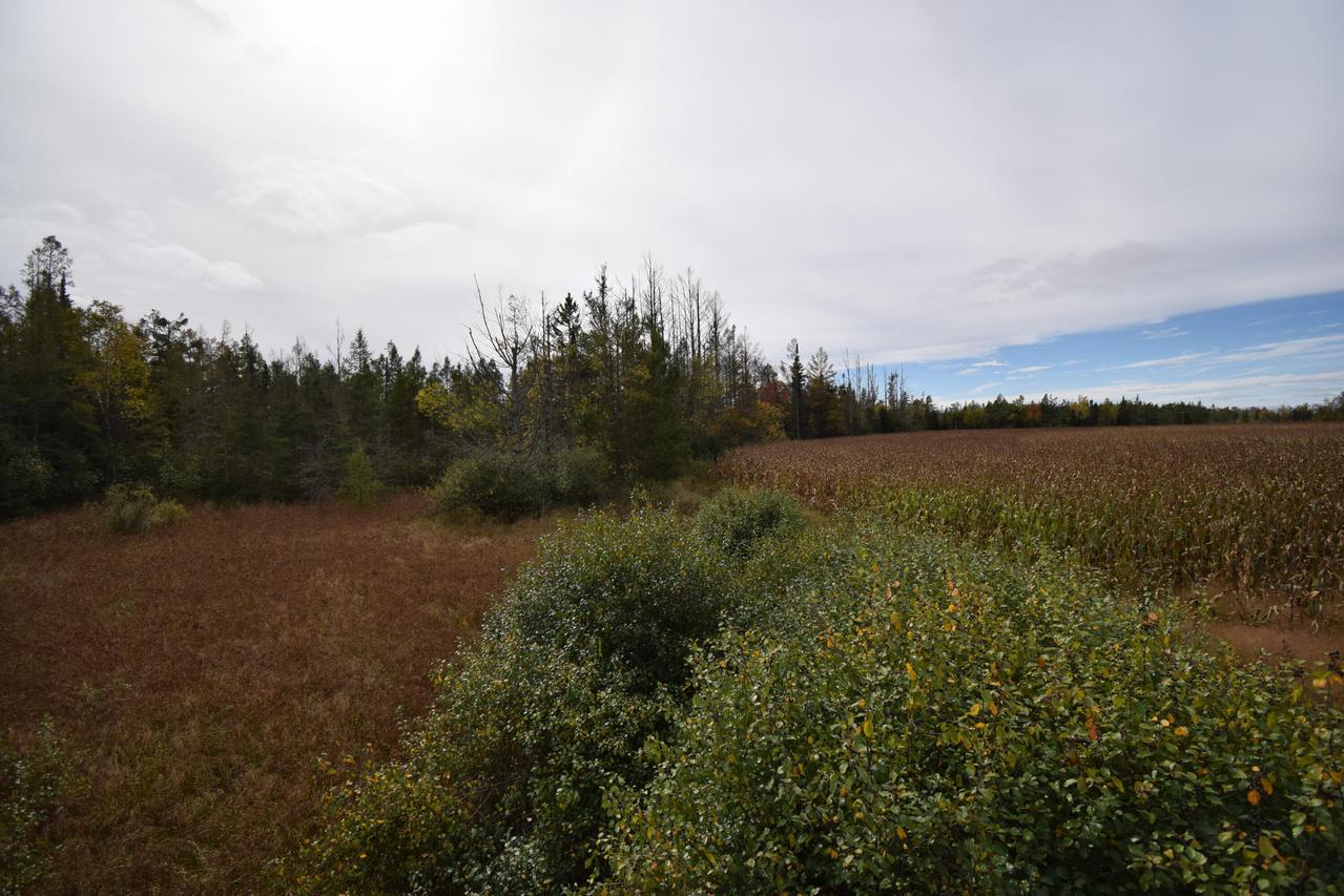 Lt1 Old Highway 8 -, Laona, WI 54541