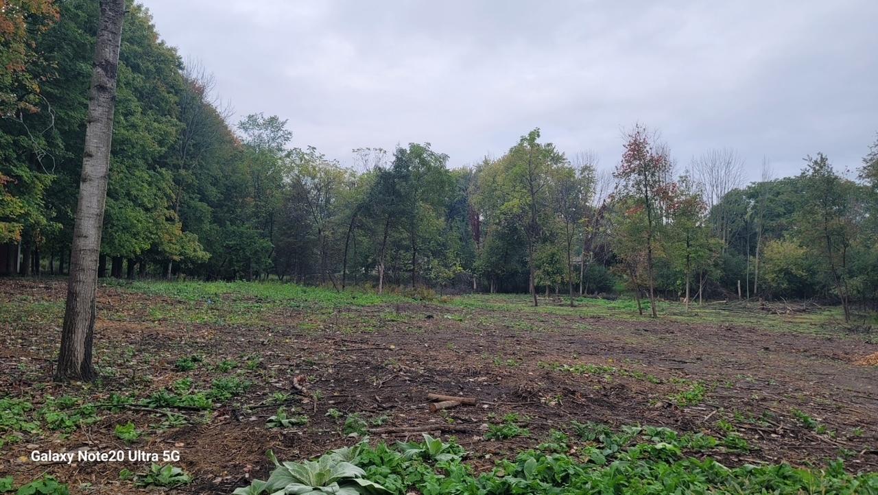 Lt1 Swallow Ln, Merton, WI 53029