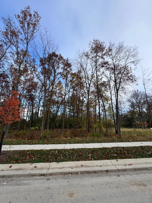 1025 Park Way #Lt5, Delafield, WI 53018