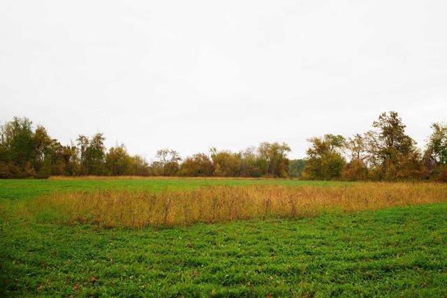 New Homes For Sale This Week in Sherman: October 10th to October 16th