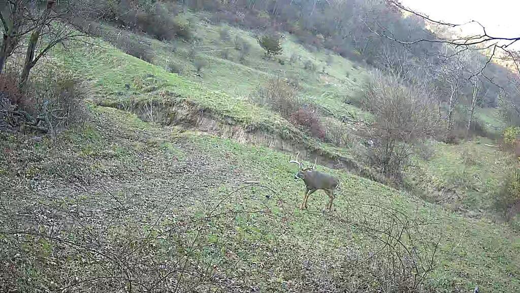 16884 County Rd., Hickory Grove, WI 53805