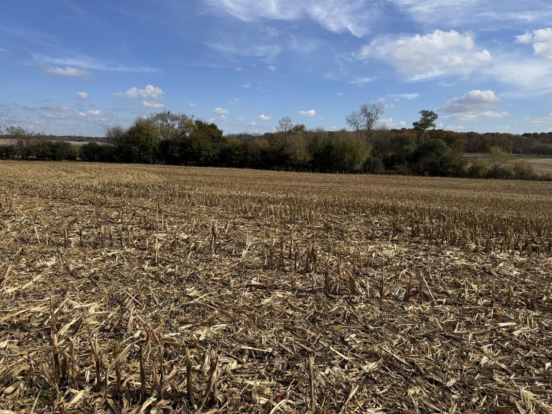 Lt12 Leo Ln, Big Bend, WI 53103