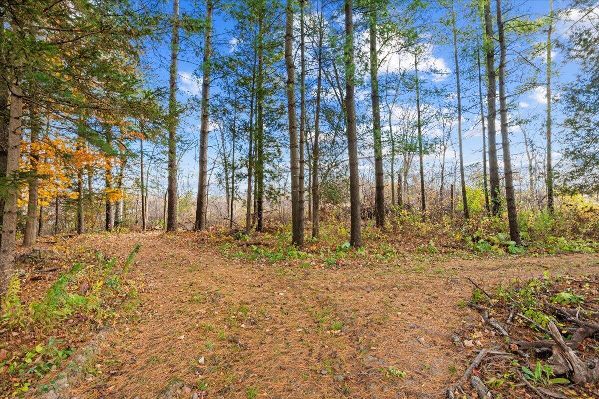 W5197 Green Tree Rd, Plymouth, WI 53073