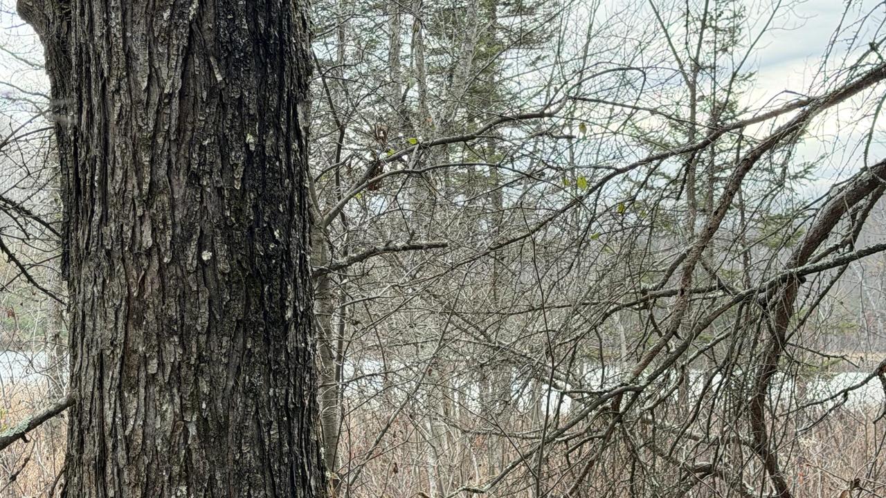 Lt3 Boat Landing 11 Rd, Silver Cliff, WI 54104