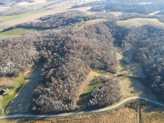 New Homes For Sale This Week in Ettrick: November 14th to November 20th