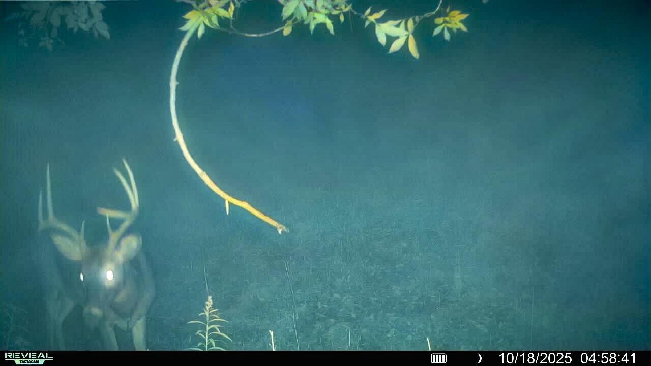 54982 Smith Rd, Utica, WI 54628