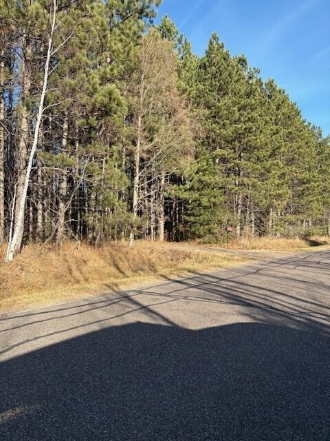 10030 W Moose Lake, Round Lake, WI 54843