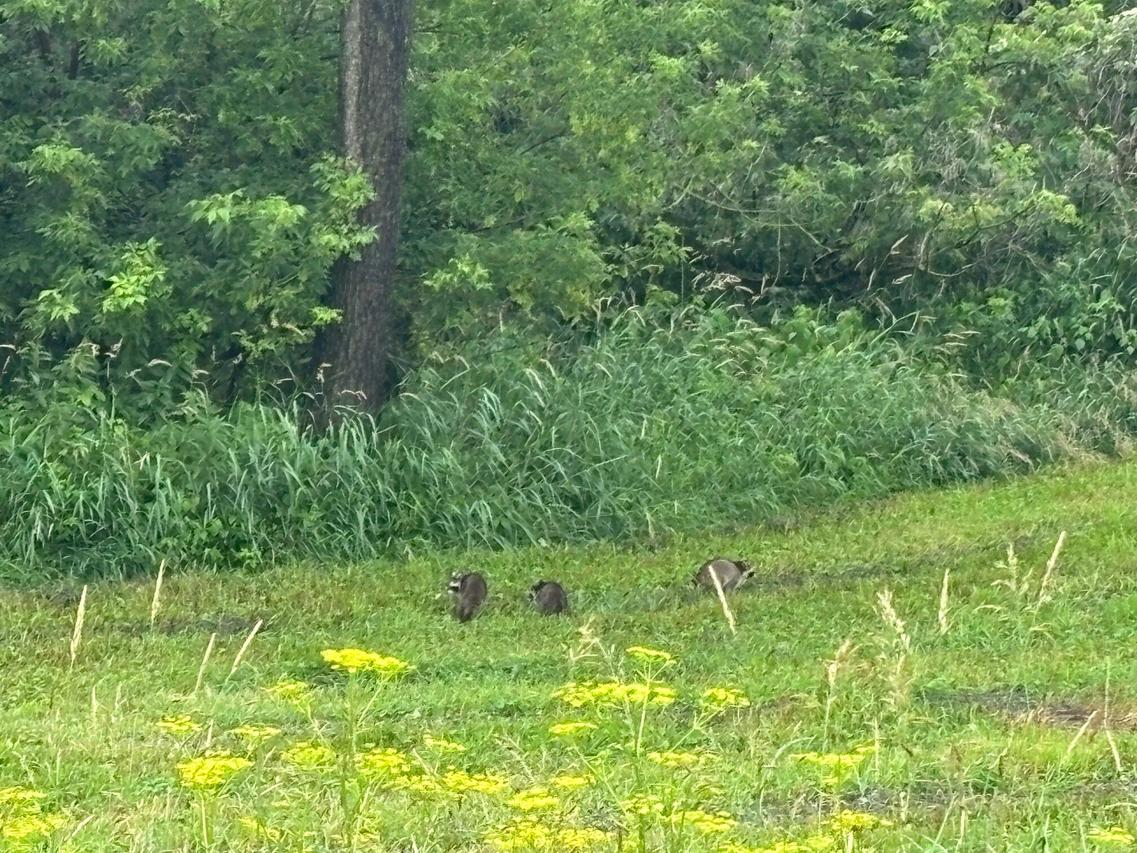 Oak Ave, West Salem, WI 54669