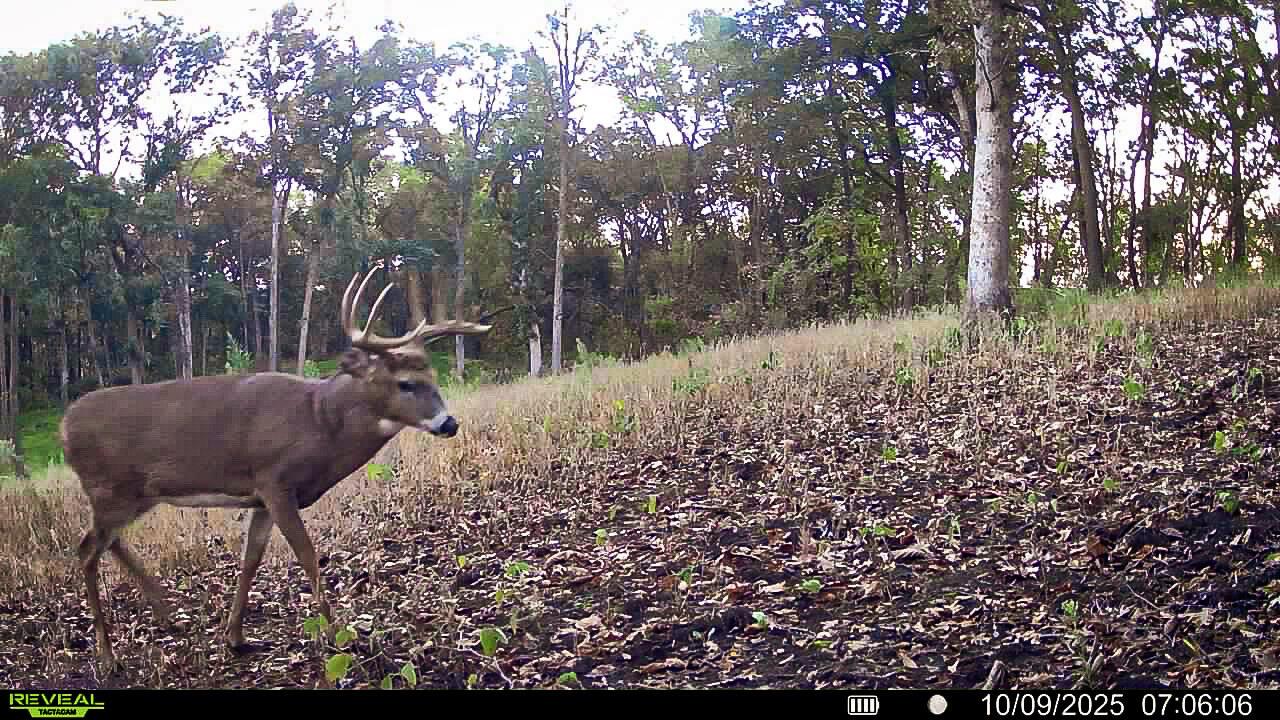 W27022 Whistlers Pass, Dodge, WI 54625