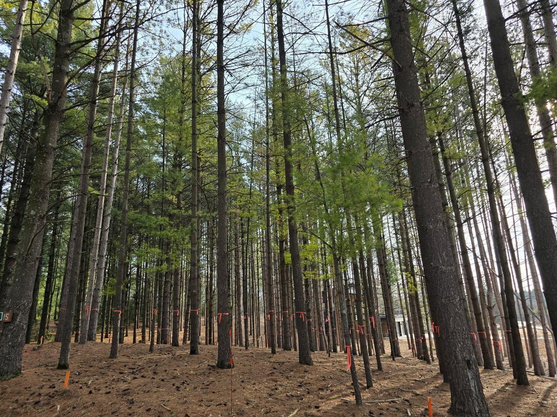 7855 Indian Lore Rd #15, Farmington, WI 53090