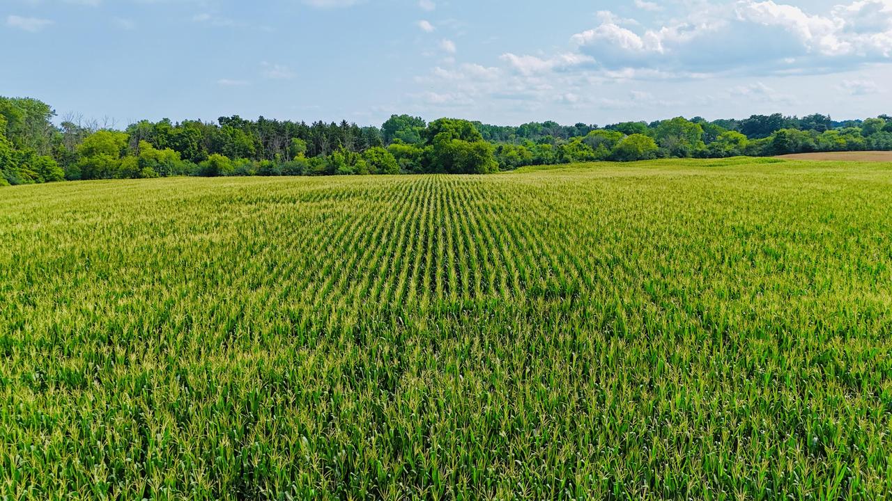 Lt1 3 Mile Rd, Caledonia, WI 53406