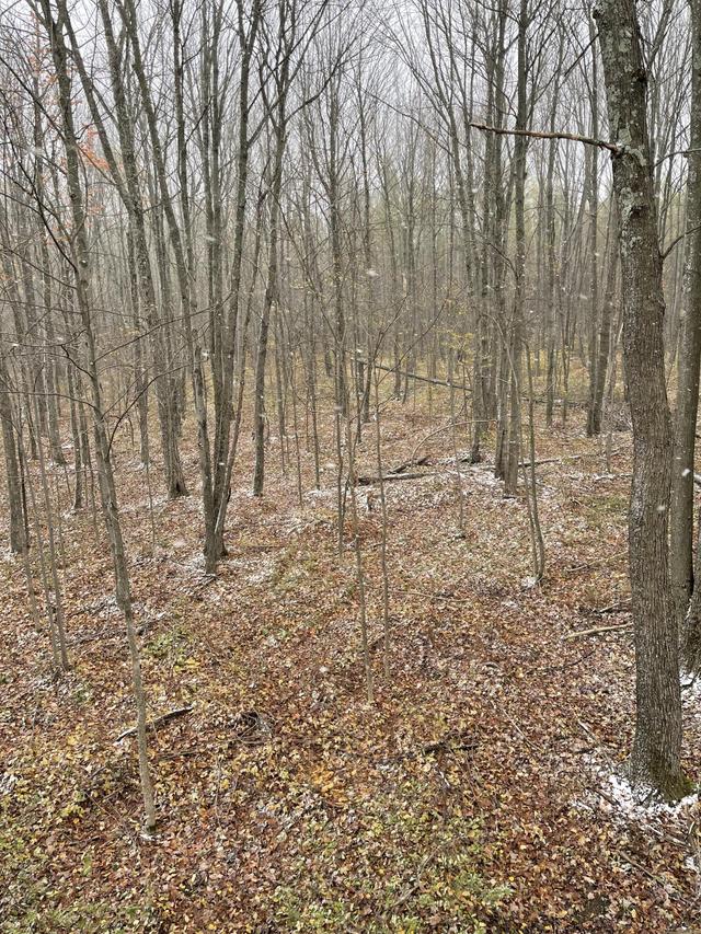 N8412 N Spur Five Rd, Jump River, WI 54766