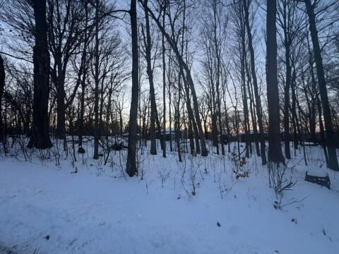 Lt 17 & 18 Forest Dr, Geneva, WI 53147