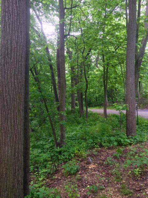 W5754 Nine Indian Trl, La Grange, WI 53121